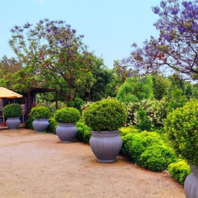 cementerios santiago